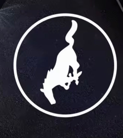 Logo lights (Extra Designs)